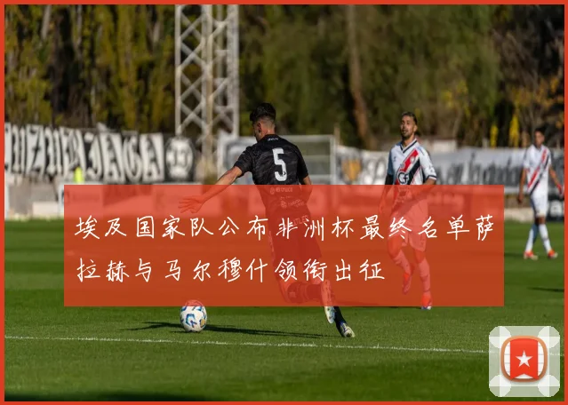 埃及国家队公布非洲杯最终名单萨拉赫与马尔穆什领衔出征